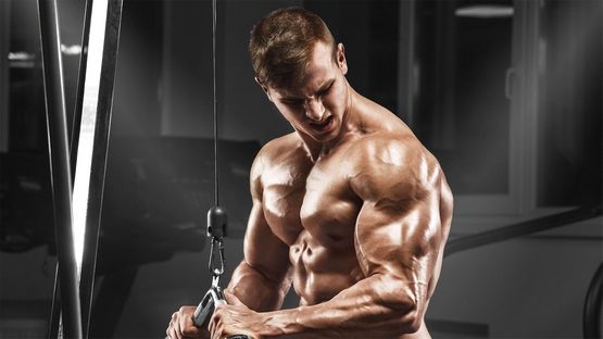 Primobolan (Methenolone) Injections Primobolan (Methenolone) Injections